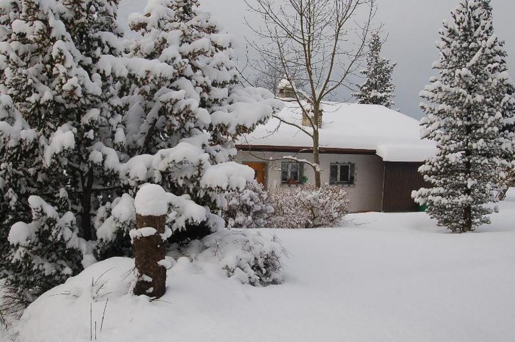 Chalet Sonnenblick Apartment Brienz  Room photo